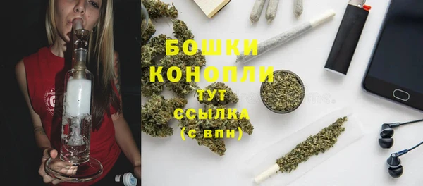 дживик Касимов