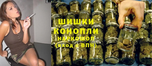 дживик Касимов