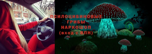 соль ск Карталы